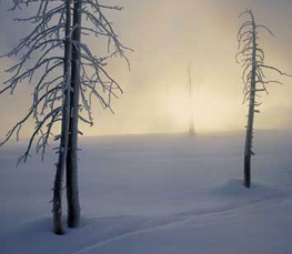 winter landscape