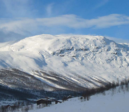 winter landscape