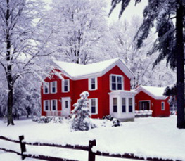 winter picture