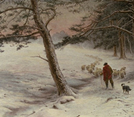 winter scene