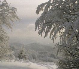winter scene