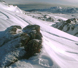 winter snow picture